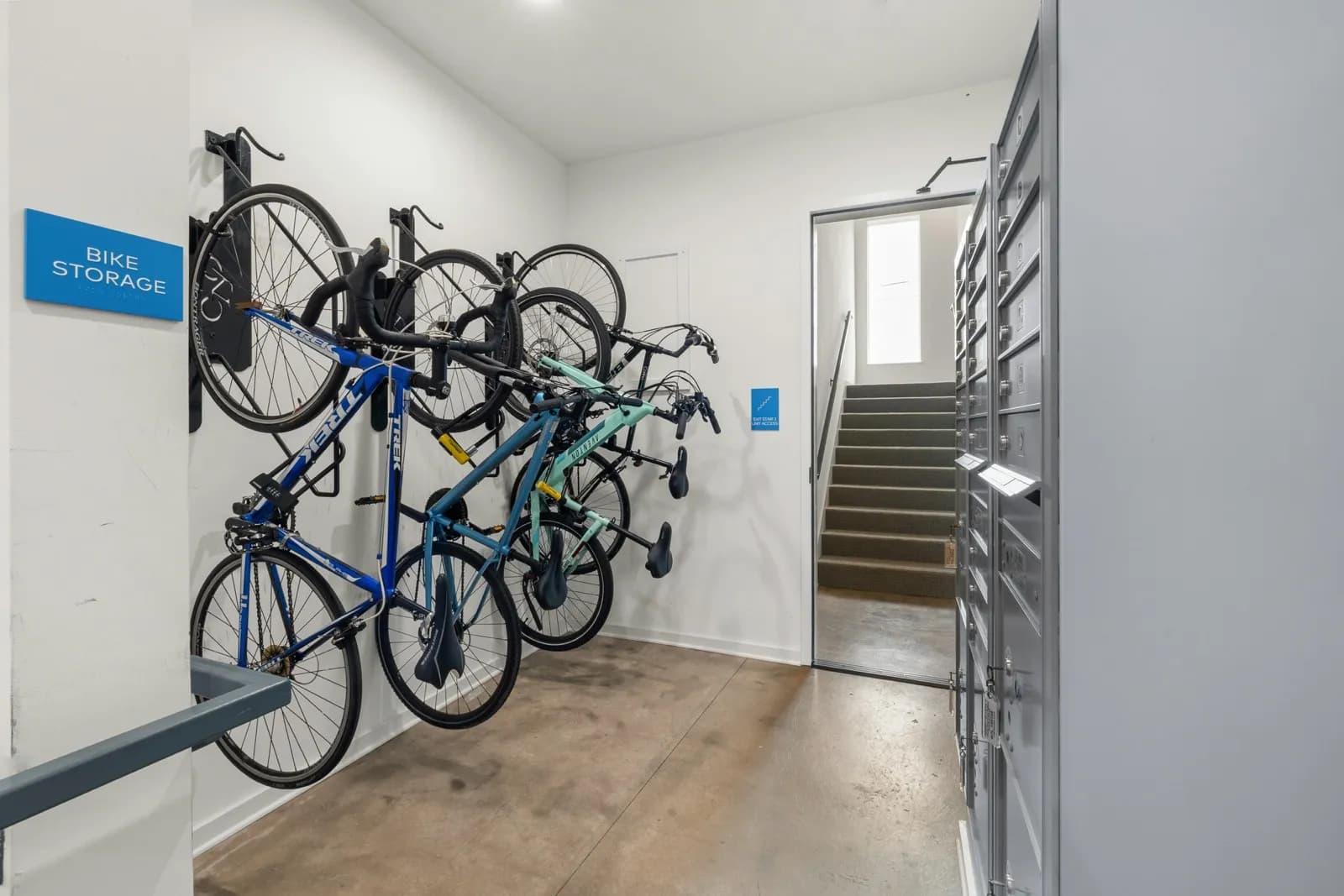 Wall-mounted bike racks with bikes stored vertically in an indoor bike storage room